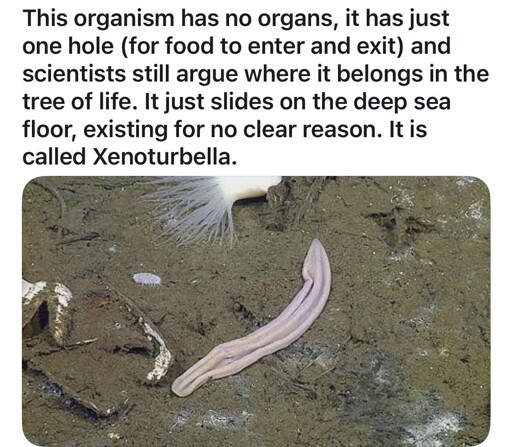 omg hes just like me