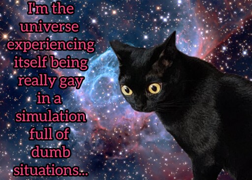 A black cat with airplane ears and big eyes has been edited on to a photo of space. A pink text reads: "I'm the universe experiencing itself being really gay in a simulation full of dumb situations..."