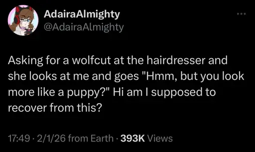 Asking for a wolfcut at the hairdresser and she looks at me and goes "Hmm, but you look more like a puppy?" Hi am I supposed to recover from this?